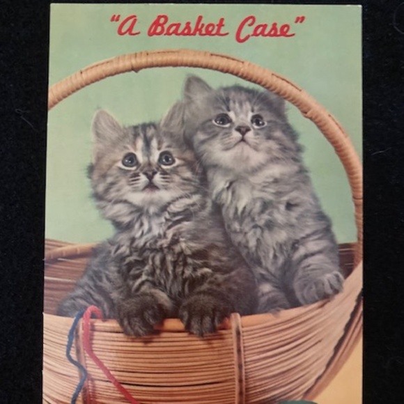 Collectif London Pheasant Blouse🌵 w/tag - Picture 5 of 5